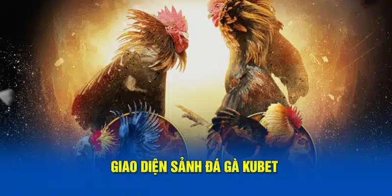 Đá gà Kubet với giao diện vô cùng đẹp mắt