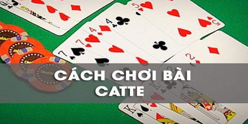 Hướng dẫn cách chơi bài cát tê cơ bản và nâng cao